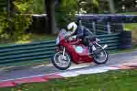 Middle Group Red Bikes